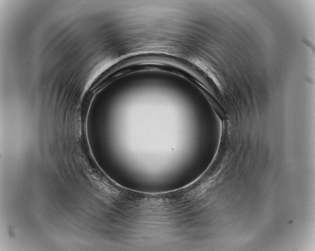 X0000098031069200804071411