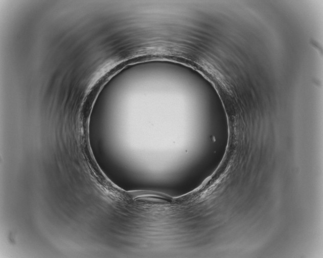 X0000098031070200804071411