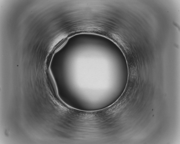 X0000098031071200804071411