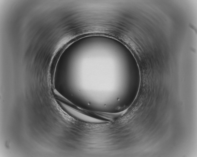 X0000098031072200804071411