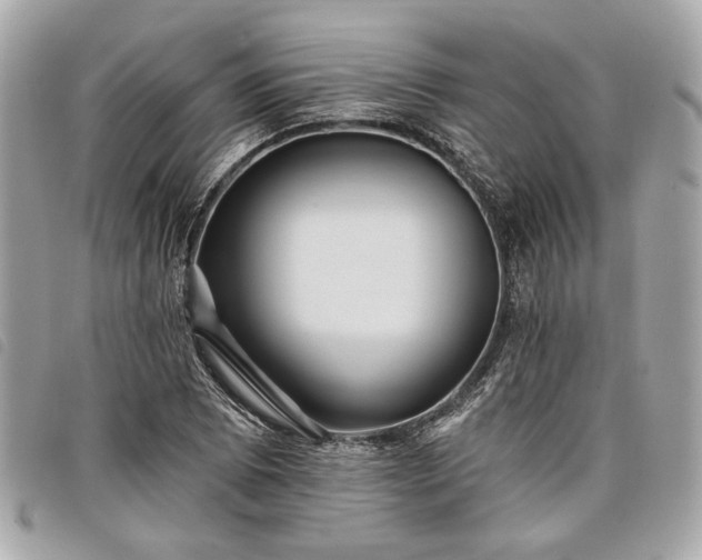 X0000098031073200804071411