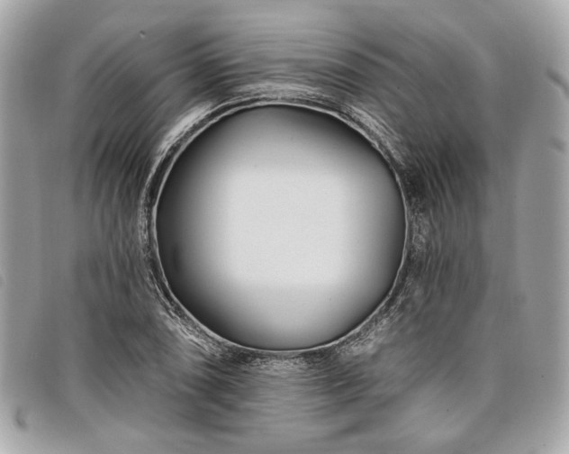 X0000098031074200804071411