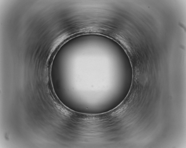 X0000098031075200804071411