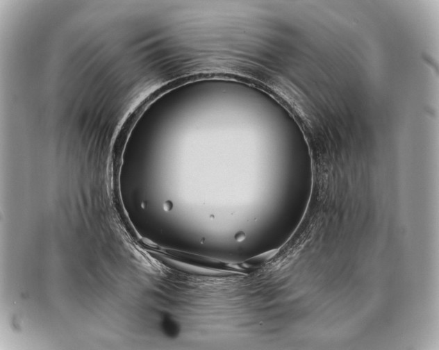 X0000098031076200804071411