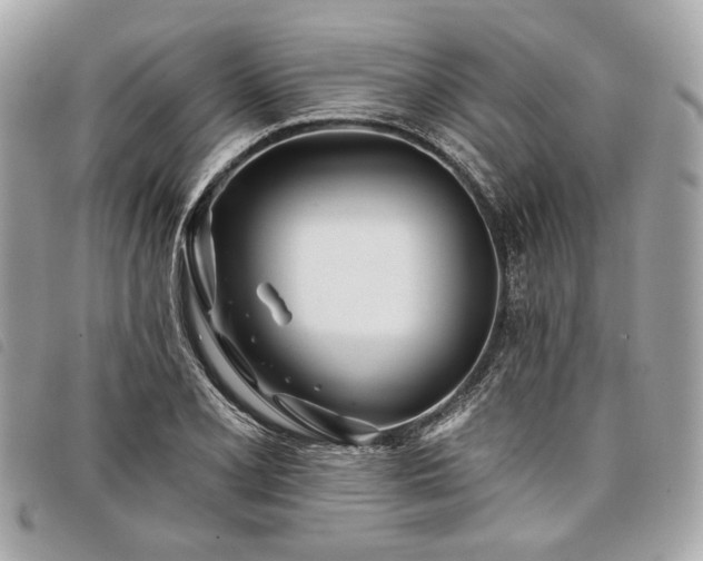 X0000098031077200804071411