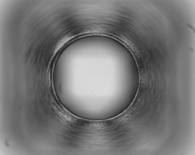 X0000098031078200804071411