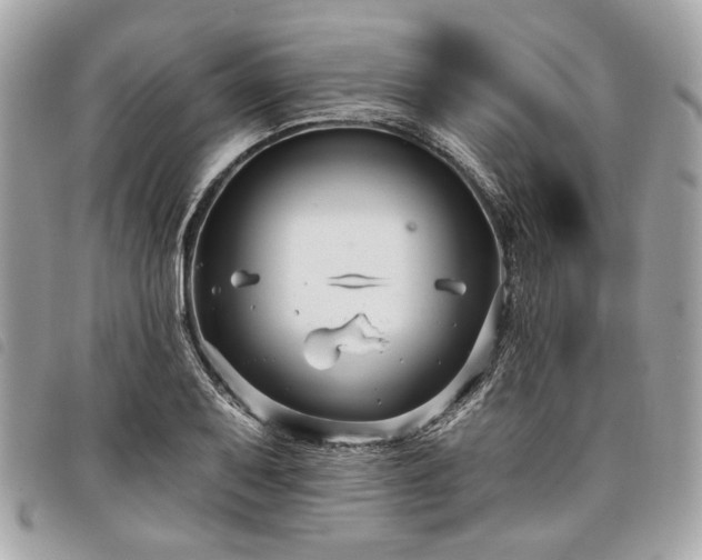 X0000098031079200804071411