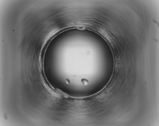 X0000098031080200804071411