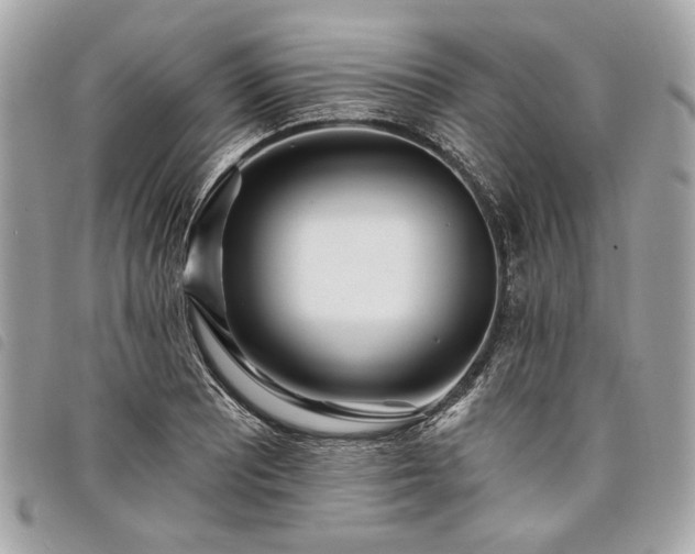 X0000098031081200804071411