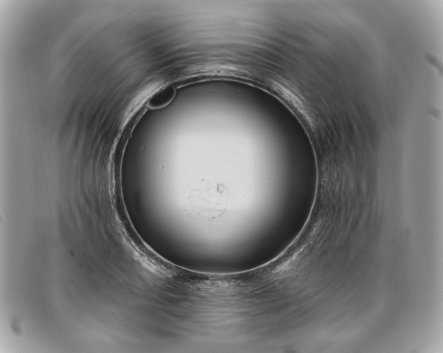 X0000098031082200804071411