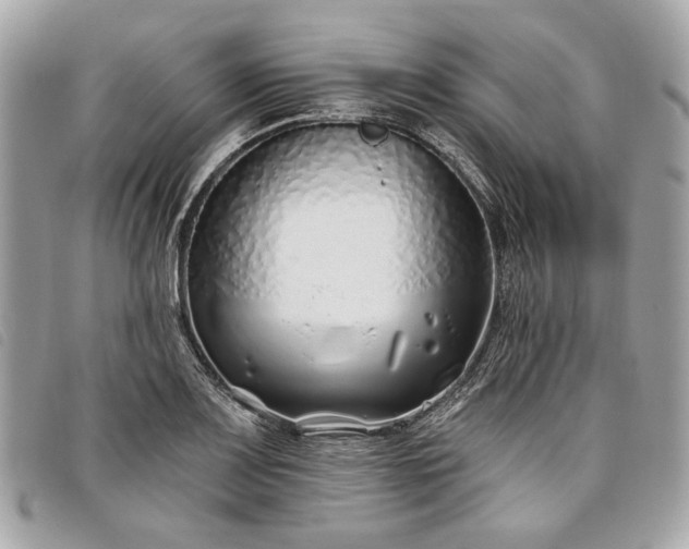 X0000098031083200804071411