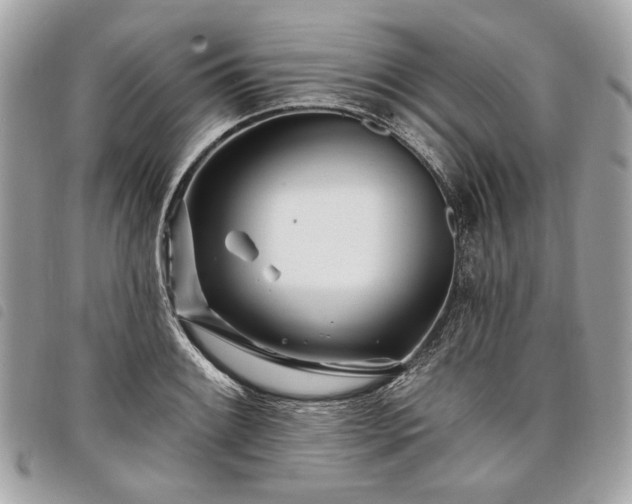 X0000098031084200804071411