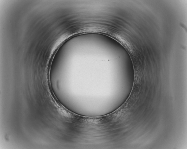 X0000098031086200804071411