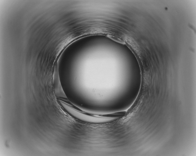 X0000098031089200804071411