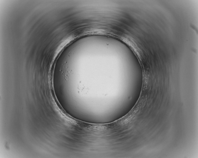 X0000098031090200804071411