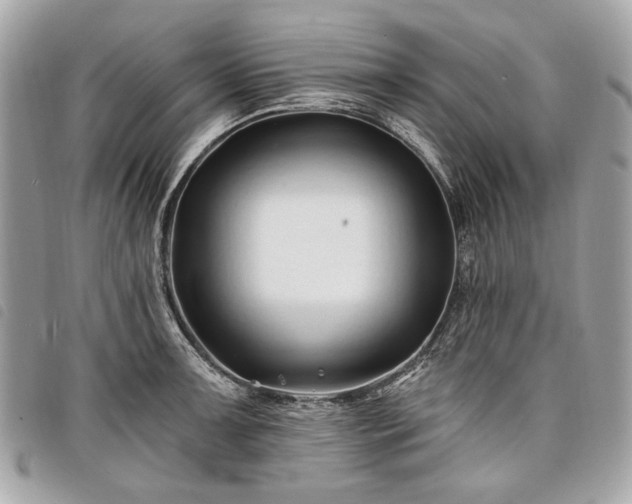 X0000098031091200804071411