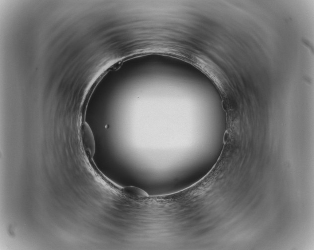 X0000098031092200804071411