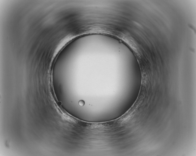 X0000098031094200804071411