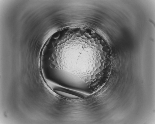 X0000098031095200804071411