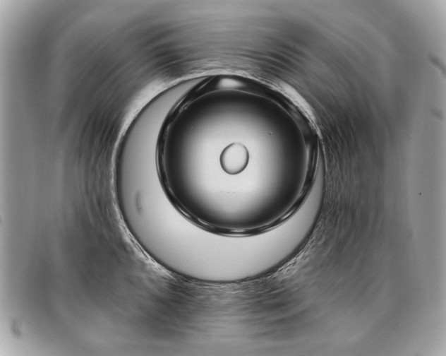 X0000098031096200804071411