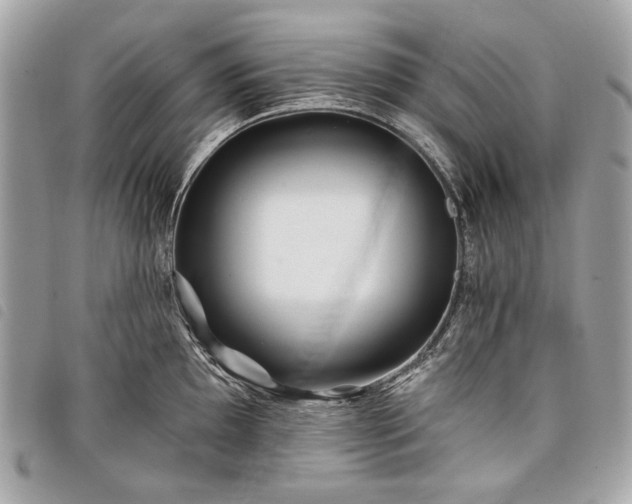 X0000098031097200804071411