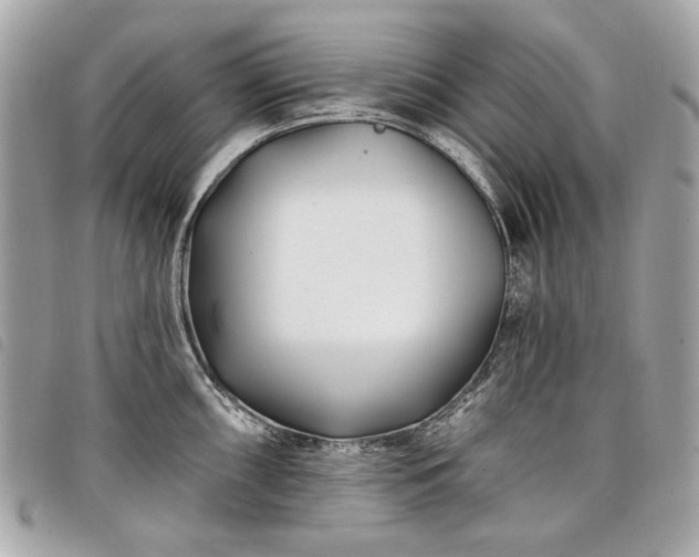 X0000098031098200804071411