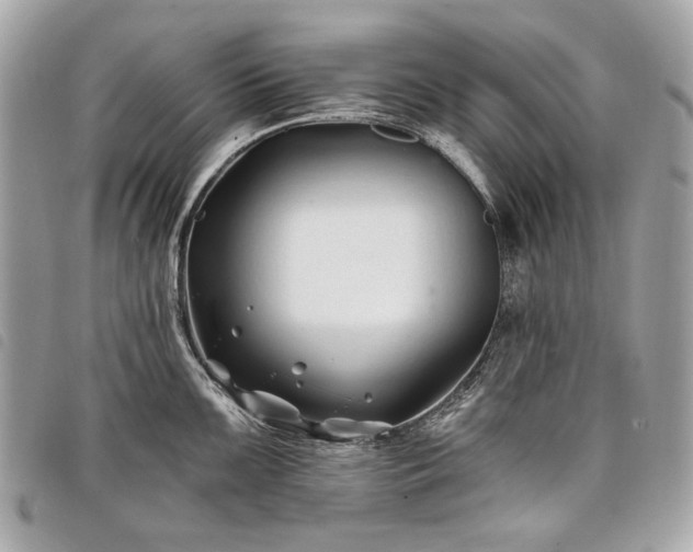 X0000098031099200804071411