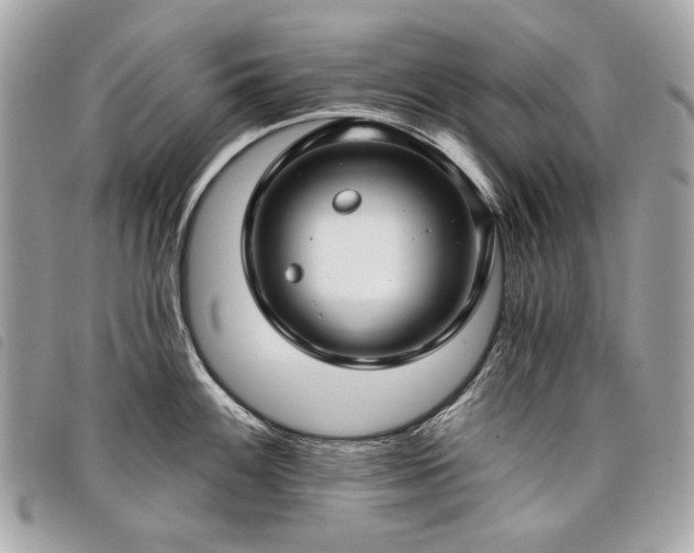 X0000098031100200804071411