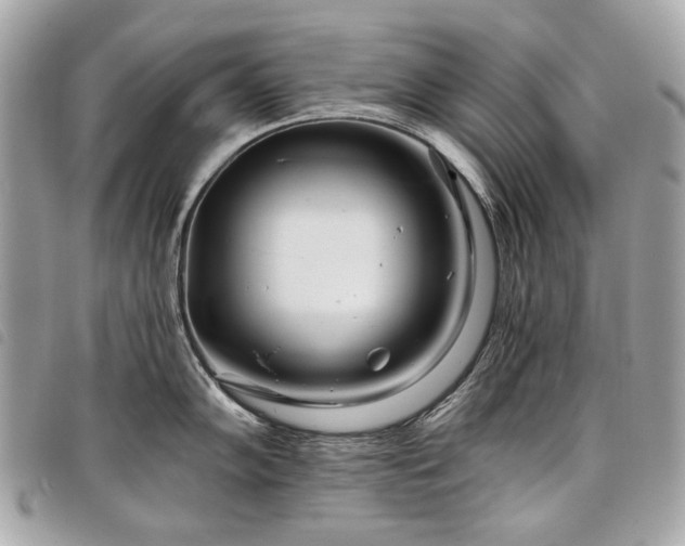 X0000098031102200804071411