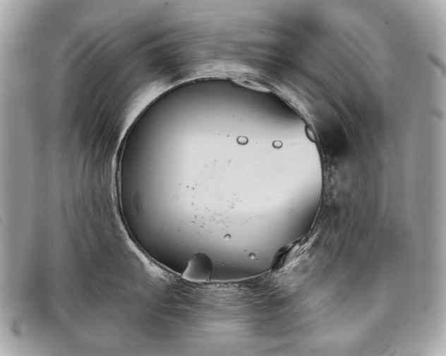 X0000098031103200804071411