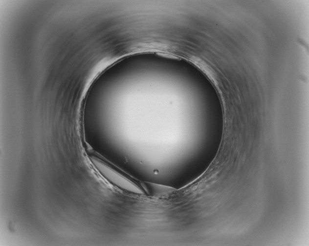 X0000098031104200804071411