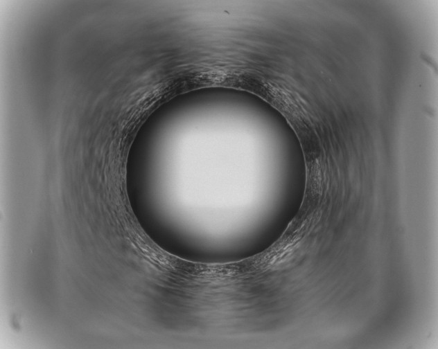 X0000098031105200804071410