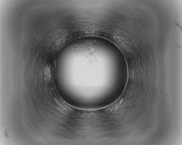 X0000098031106200804071410