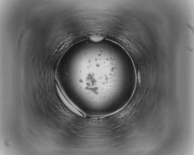 X0000098031107200804071410