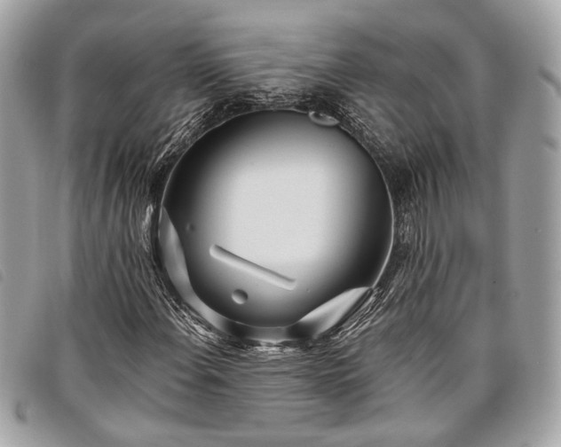 X0000098031108200804071410