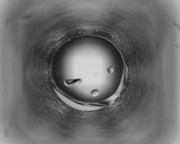 X0000098031109200804071410