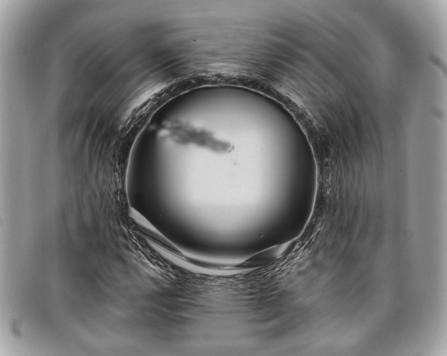 X0000098031112200804071410