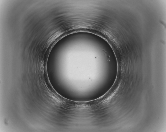 X0000098031113200804071410