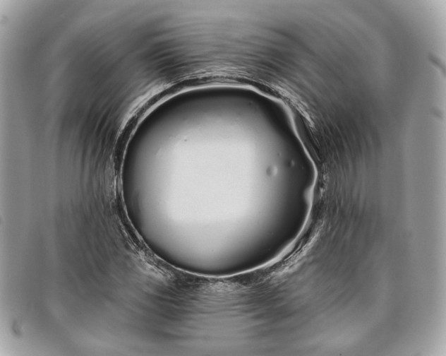 X0000098031117200804071410