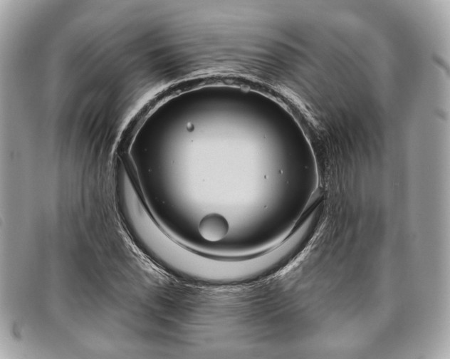 X0000098031118200804071410