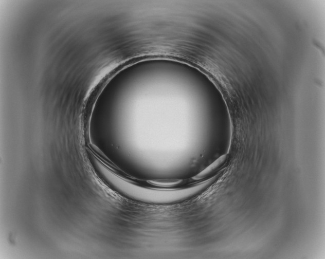 X0000098031120200804071410