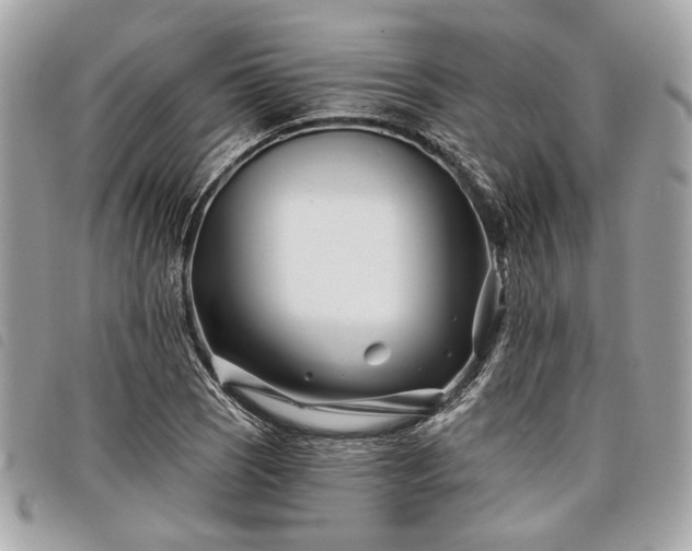 X0000098031121200804071410