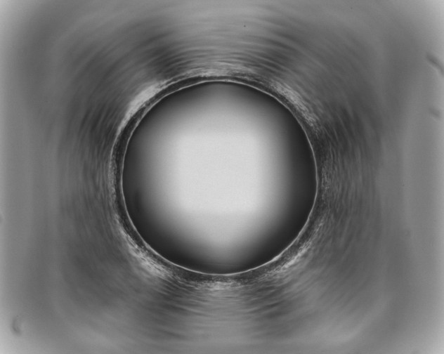 X0000098031122200804071410