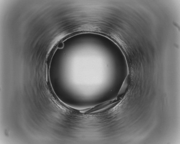 X0000098031123200804071410