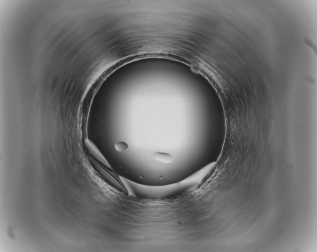 X0000098031124200804071410