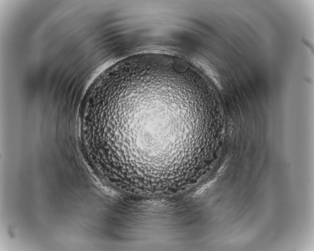 X0000098031125200804071410