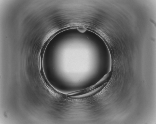 X0000098031127200804071410