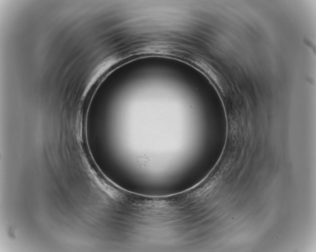 X0000098031131200804071411