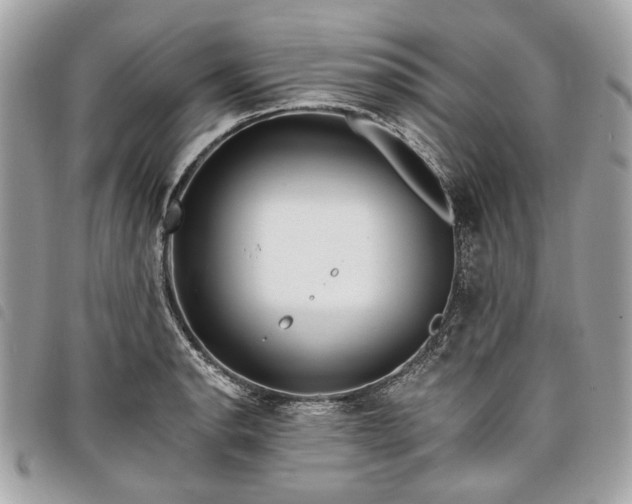 X0000098031134200804071411