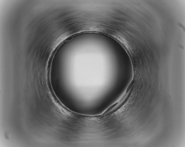 X0000098031135200804071411